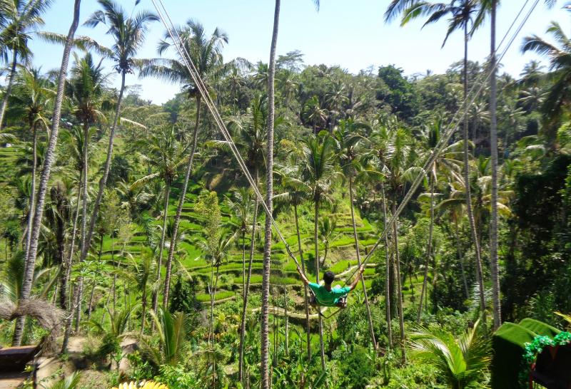 Best Things to Do in Bali Indonesia - Tegalalang Rice Terrace Ubud Bali
