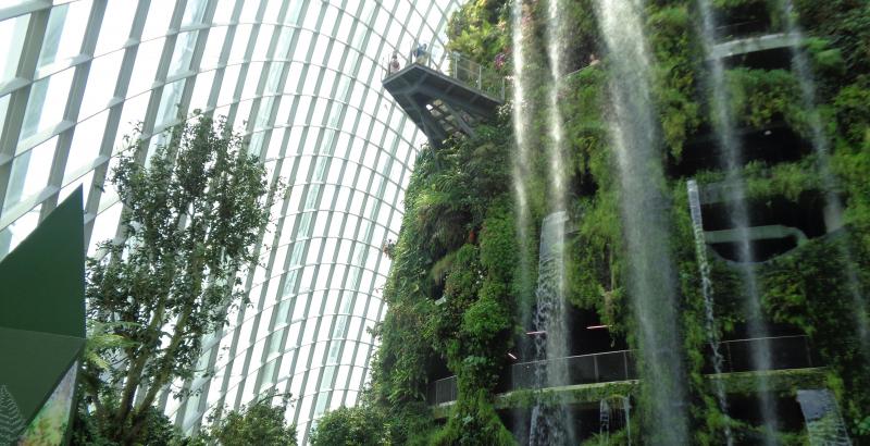 Cloud Forest Gardens by the Bay Singapore