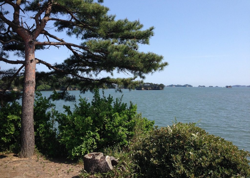 Matsushima Bay Miyagi Japan