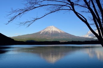 best places to visit in Shizuoka Japan