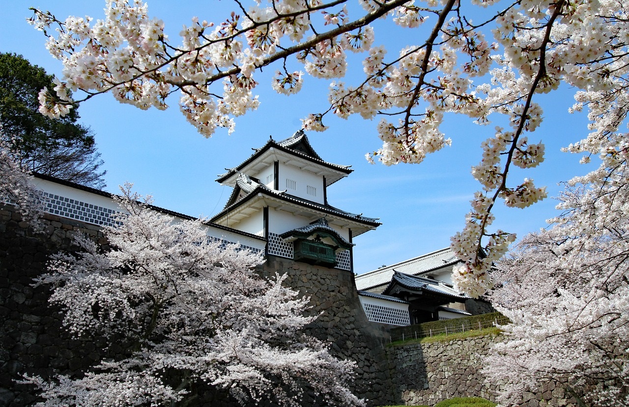 10 Best Cherry Blossom Viewing Spots in Japan - g-trav